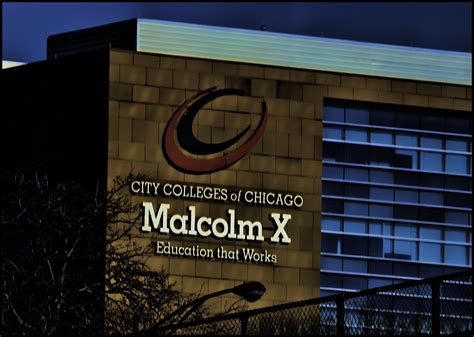 City Colleges Of Chicago Sees 2021 Enrollment Drop Crains Chicago