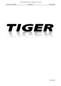 Tiger - Afsætning - Opgaver.com