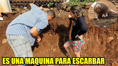 Encontramos El Animal Mas Rápido Que Una Maquina Para Excavar Taltuza😲