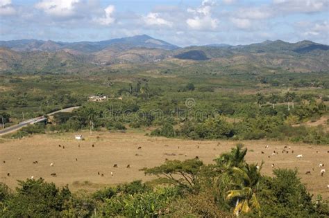 Rural Panorama Near Trinidad In Cuba Stock Image Image Of Trinidad