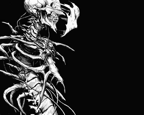 Skeleton Wallpaper Wallpapersafari