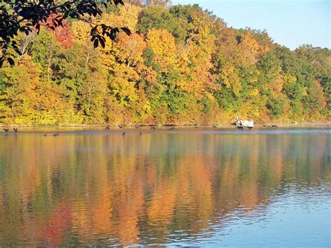 Autumn In Our Backyard The Foliage In Tennessee Can Be Breath Taking