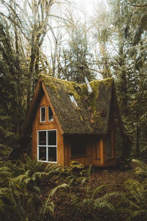 Maybe you would like to learn more about one of these? Pin by NORTH/EAST on Living Spaces | House in the woods ...