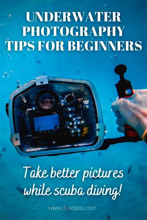 85 Best Tips On Underwater Photography For Beginners