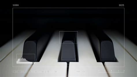 No Copyright Music Piano Moment Youtube