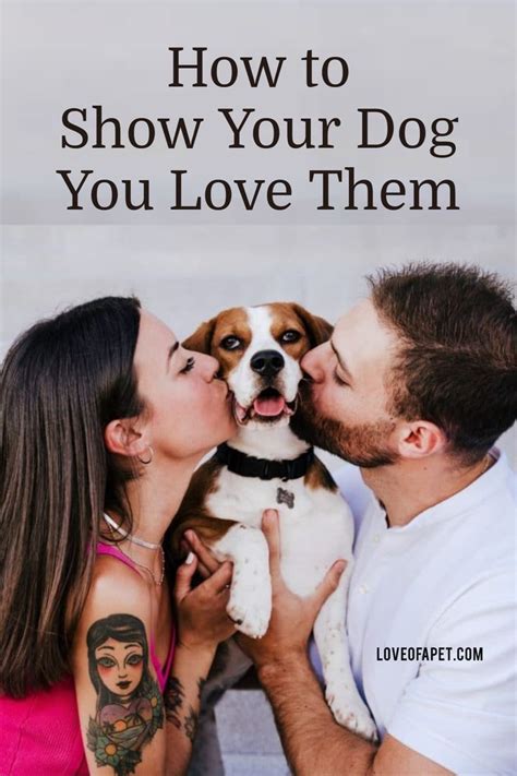 How To Show Your Dog You Love Them 10 Ways In 2022 Dogs Dog Care