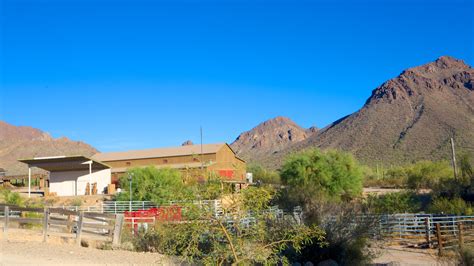 Top 20 Tucson Estates Resorts From Nz 98night Bookabach