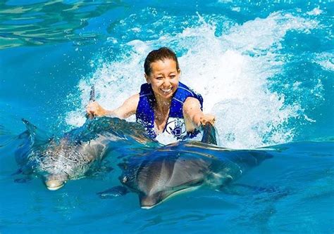 Oahu Dolphin Program Photo Gallery 808442 6459