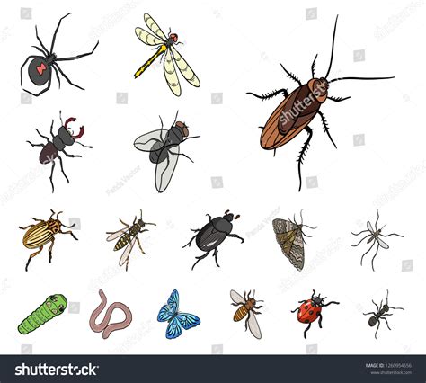 Different Kinds Of Insects Cartoon Icons In Set Royalty Free Stock Vector 1260954556