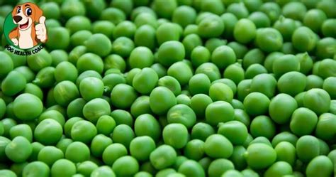 Can my cat eat peas? Can Dogs Eat Peas? Health benefits and risks! Written by a ...