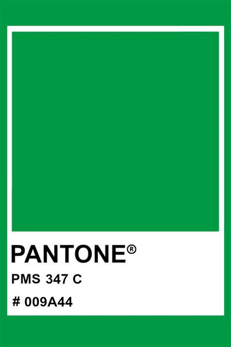 Pantone 347 C Pantone Color Pms Hex Pantone Green Pantone Color