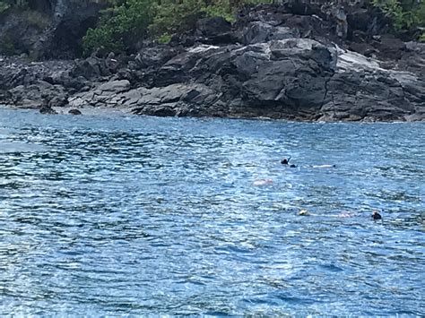 Maui Eco Adventures (Lahaina) - All You Need to Know BEFORE You Go