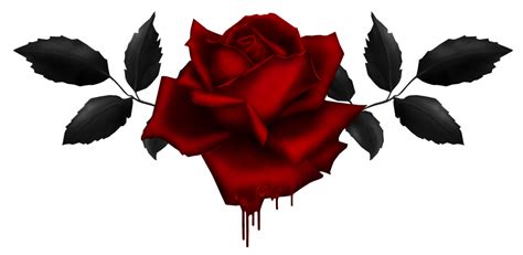 Gothic Rose Png Png All Png All