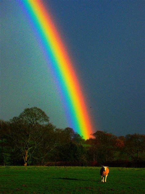 Rainbow Colours Enhanced Rainbow Photography Rainbow Sky Rainbow