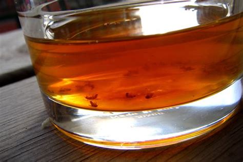 Here you may to know how to rid ants virtual families 2. Make a Vinegar Trap to Get Rid of Fruit Flies