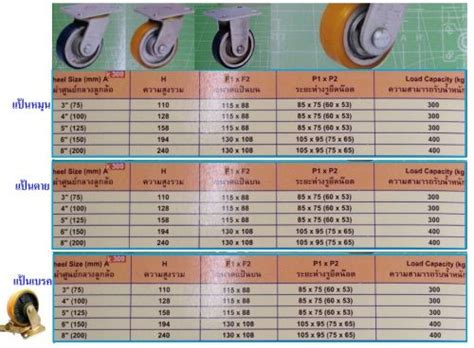หมวดล้อยูริเทน