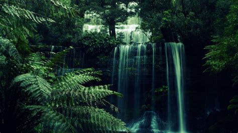 Adorable Aesthetic Forest Wallpaper Waterfall Wallpaper Forest