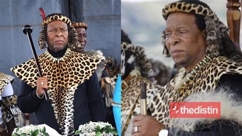 Zulu King Goodwill Zwelithini Net Worth His 6 Wives 28 Children
