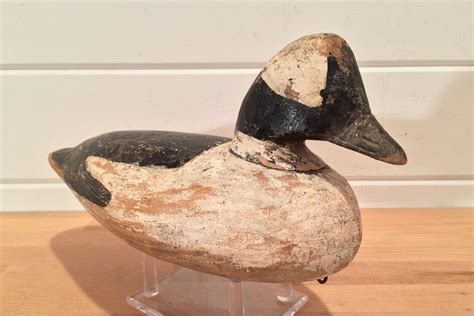 Bufflehead Drake Doug Jester Chincoteague Virginia Circa 1930s