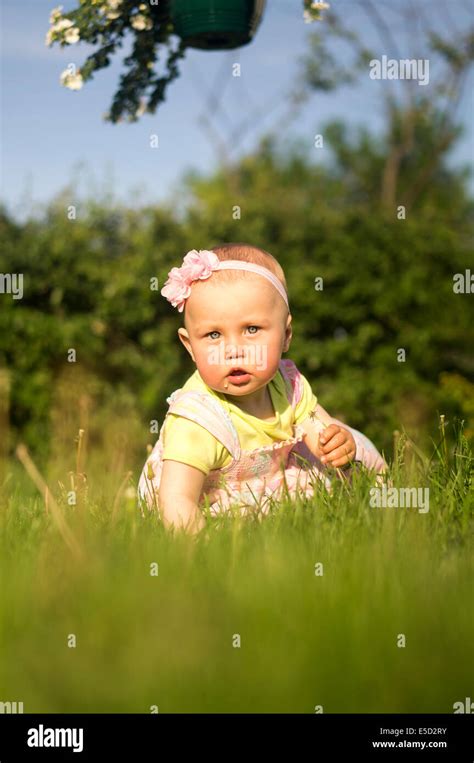 A Baby Girl In A Meadow Stock Photo Alamy