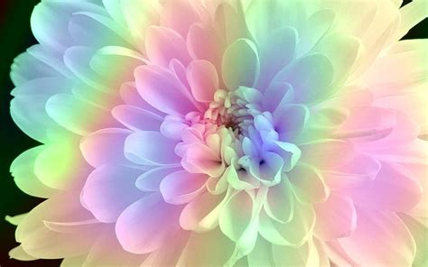 Choose from a curated selection of flower wallpapers for your mobile and desktop screens. Pastel Desktop Wallpapers - Top Free Pastel Desktop ...
