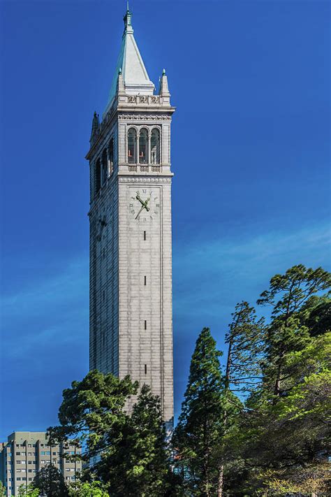 Campanile Tower University Of California Berkeley Photograph By David A Litman Fine Art America
