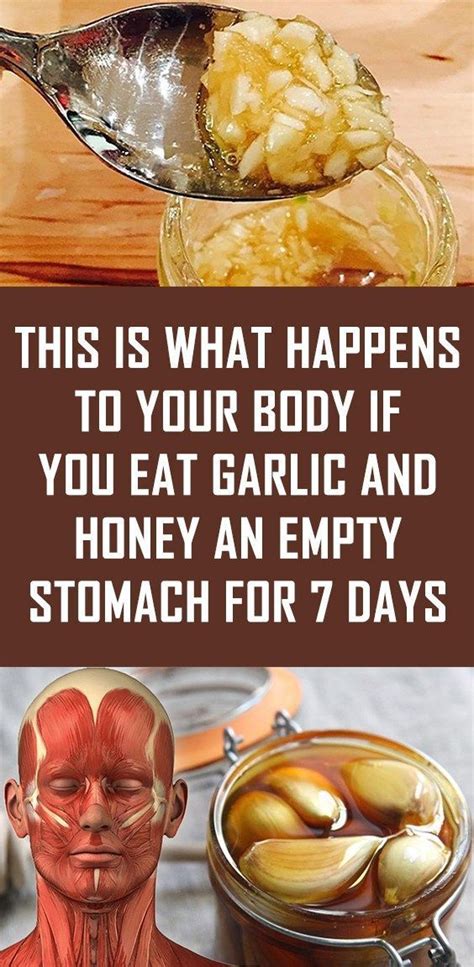 What Happens To Your Body When You Eat Garlic With Honey On An Empty Hot Sex Picture