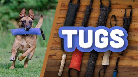 Why Ray Allen Dog Tug Toys Are Vital To K9 Bite Training Ray Allen