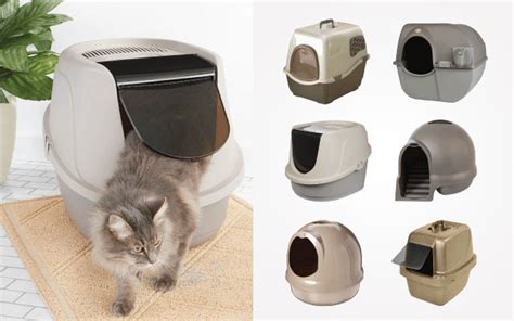 10 Best Covered Litter Boxes In 2019 That Worth