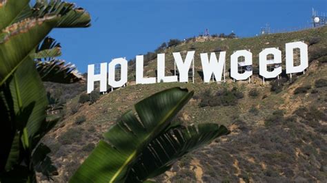 “hollyweed” Artist Claiming Iconic Sign Alteration Says It Wasnt Vandalism The Hollywood