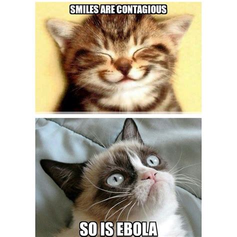 Smiles Are Contagiousso Is Ebola Grump Cat Grumpy Cat Meme Funny