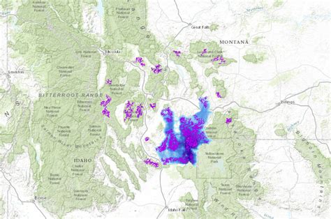 25 Grizzly Bear Range Map Maps Online For You