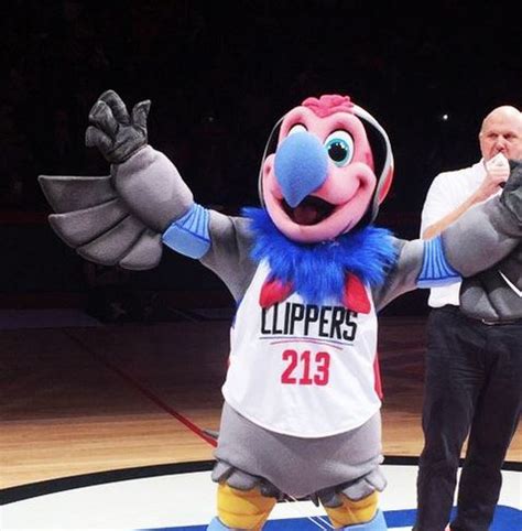 Clippers mascot is a california condor. Clippers New Mascot: Chuck the Condor