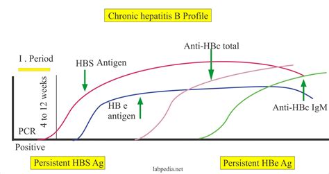 Hepatitis B Virus Part 1 Hepatitis B Virus Hbv