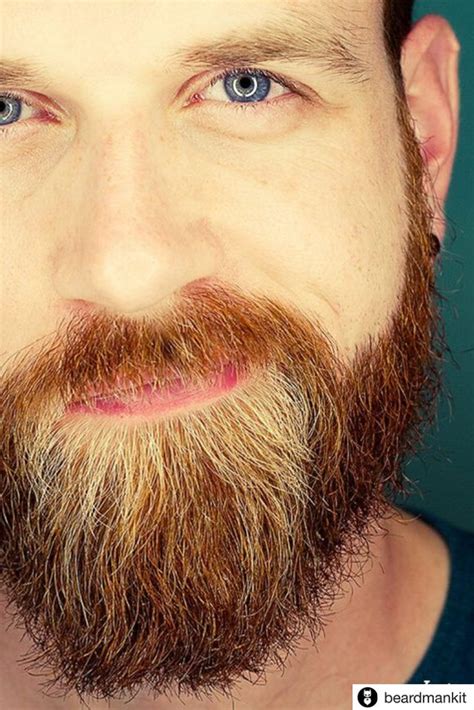Join The Beard Club 🔥⠀⠀⠀⠀⠀ ⠀⠀⠀⠀⠀⠀⠀⠀⠀⠀⠀⠀⠀⠀⠀ Beard Beardlife Bearded Beardup