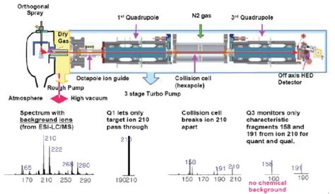 Training that builds knowledge and confidence. GCMS (Gas chromatography mass spectrometer) in 2020 | Gas ...