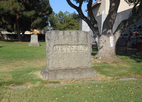 Elizabeth Nuckolls Metcalf 1846 1923 Find A Grave äreminne