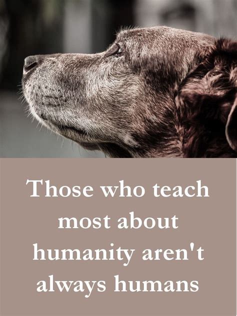 27 Beautiful Dog Quotes Some Touching Some Poignant