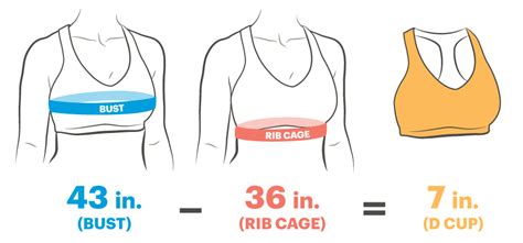 How To Measure Sports Bra Size Sports Bra Fitting Guide Thebestnchic