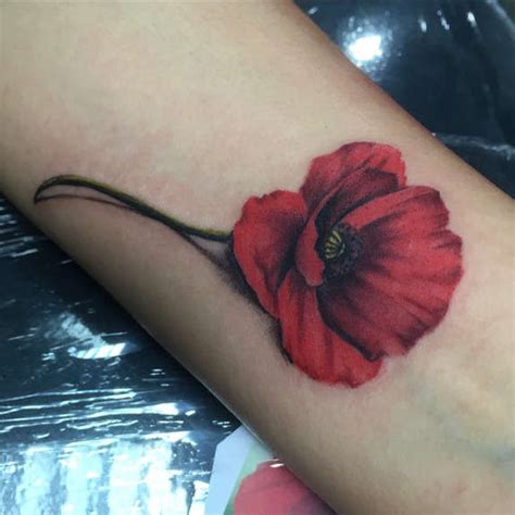 Poppy Tattoos Designs Ideas And Meaning Tattoos For You