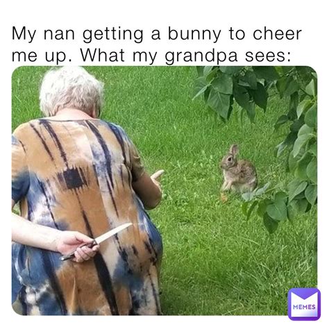 My Nan Getting A Bunny To Cheer Me Up What My Grandpa Sees Rayne Esmee Memes