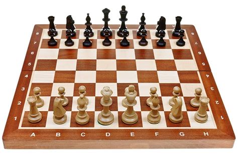 Bestof You Top How To Set Up Chess Board Of The Decade The Ultimate Guide