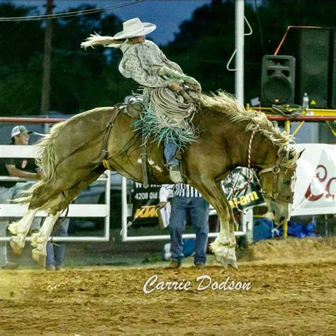 (ride it, ride it) come touch my soul. Is Brittany Miller The Most Famous Ranch Bronc Rider?