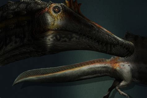 New Paper Suggests Spinosaurus May Have Been Aquatic Harvard Gazette