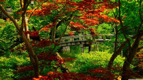 4k Kyoto Wallpapers Top Free 4k Kyoto Backgrounds Wallpaperaccess