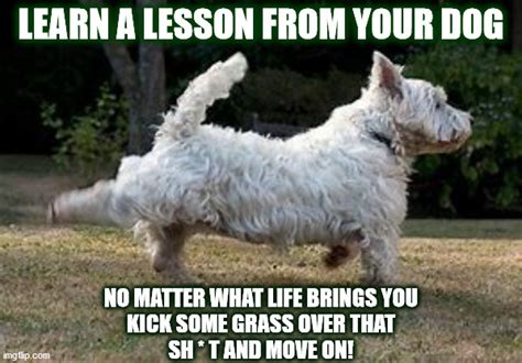 Doggie Lesson 1 Imgflip