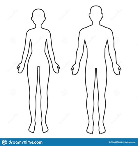 A wide variety of body outline options are available to you, such as power source, warranty, and certification. Male And Female Body Outline Stock Vector - Illustration of illustration, clip: 150025863