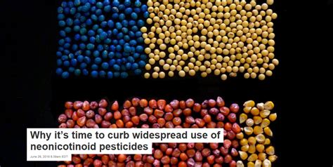 Why Its Time To Curb Widespread Use Of Neonicotinoid Pesticides Life