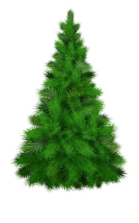 Image Christmas Tree Png Transparent Background Free Download 31854 Images
