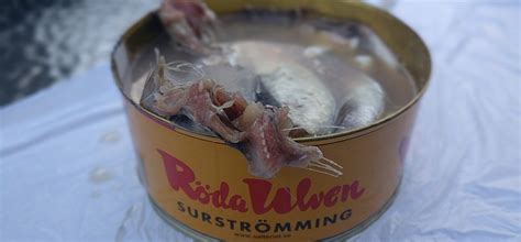 Le surströmming est une spécialité culinaire suédoise, à base de hareng de la baltique, qui a fermenté pendant plusieurs mois.il se vend en conserve. Surströmming challenge (deutsch) › Pommes Män